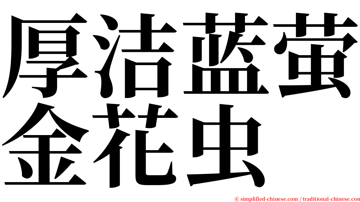 厚洁蓝萤金花虫 serif font