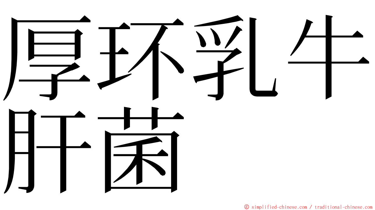 厚环乳牛肝菌 ming font