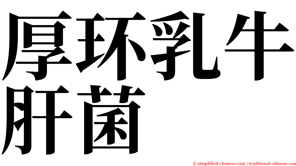 厚环乳牛肝菌 serif font