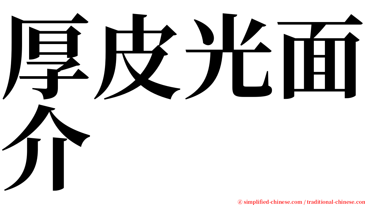 厚皮光面介 serif font