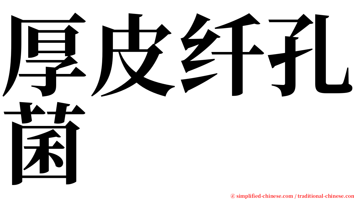 厚皮纤孔菌 serif font