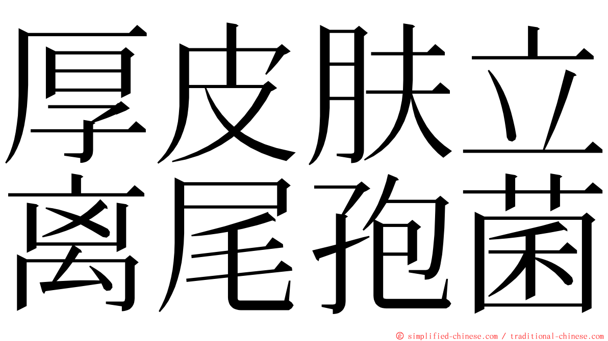 厚皮肤立离尾孢菌 ming font