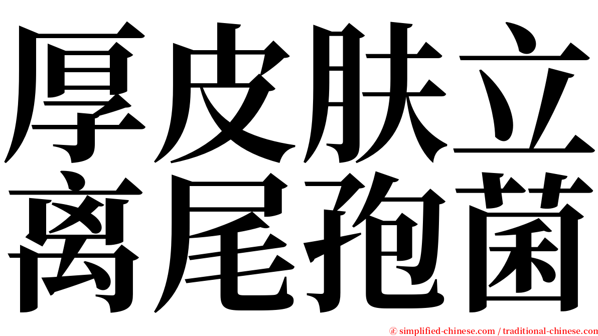 厚皮肤立离尾孢菌 serif font