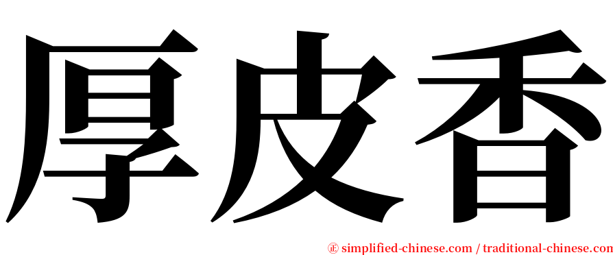 厚皮香 serif font