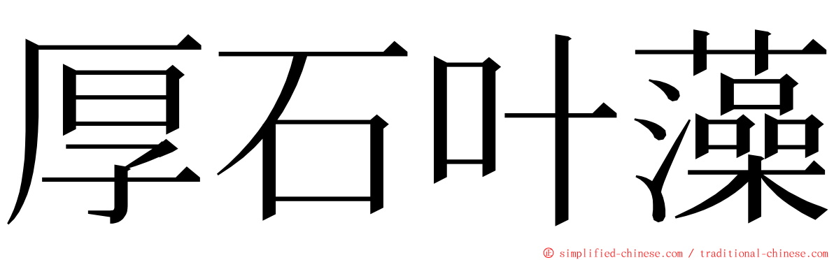 厚石叶藻 ming font