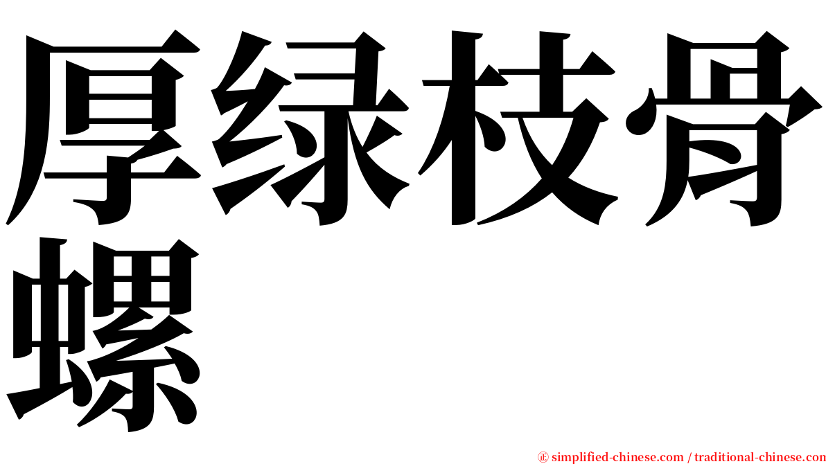 厚绿枝骨螺 serif font