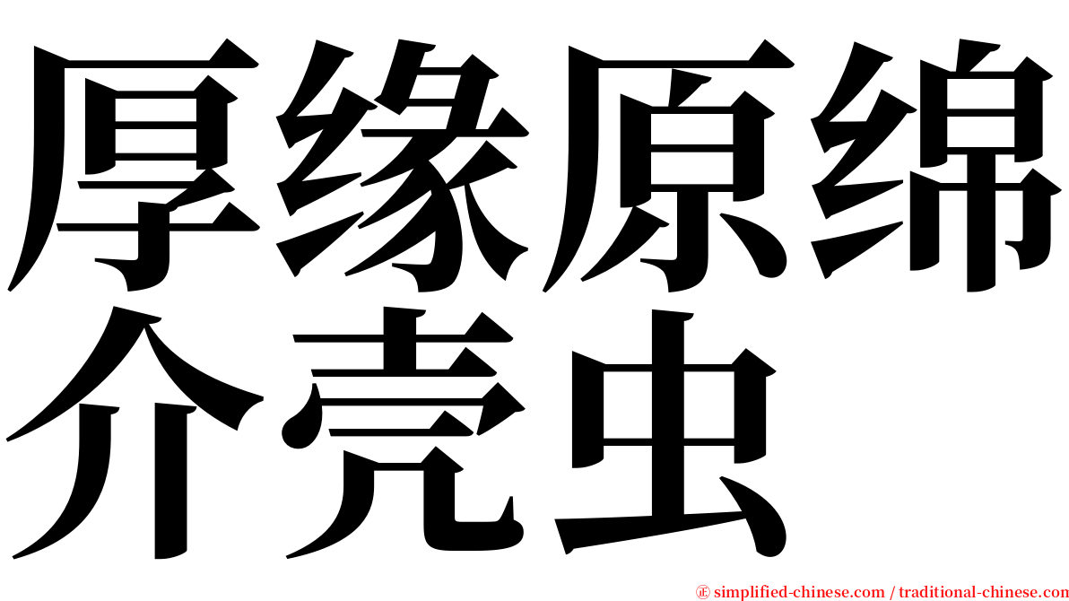 厚缘原绵介壳虫 serif font