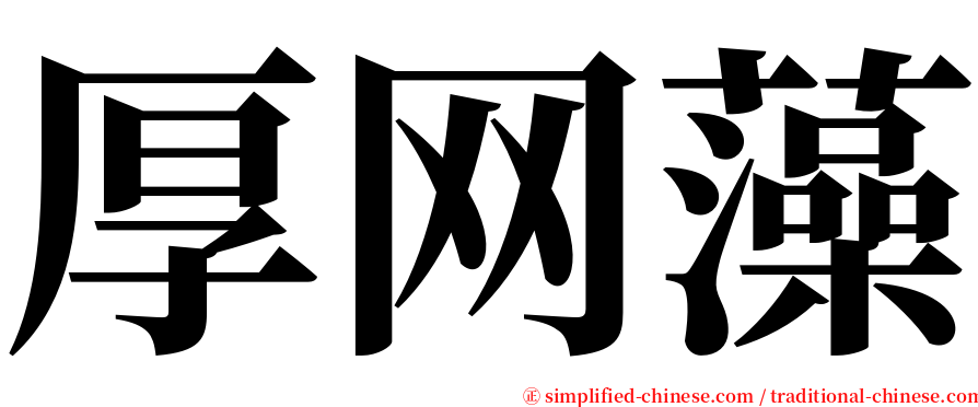 厚网藻 serif font