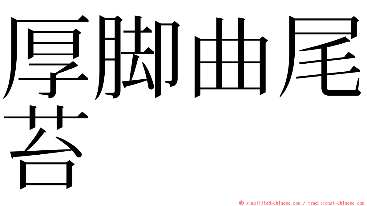 厚脚曲尾苔 ming font