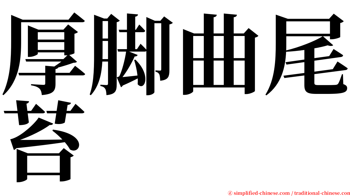 厚脚曲尾苔 serif font