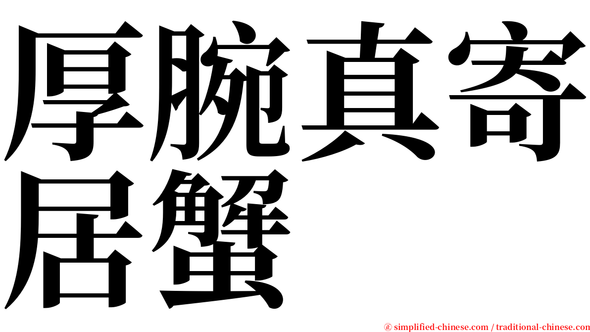 厚腕真寄居蟹 serif font