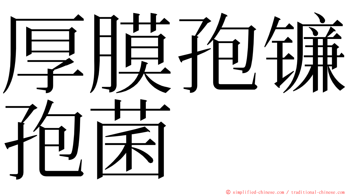 厚膜孢镰孢菌 ming font