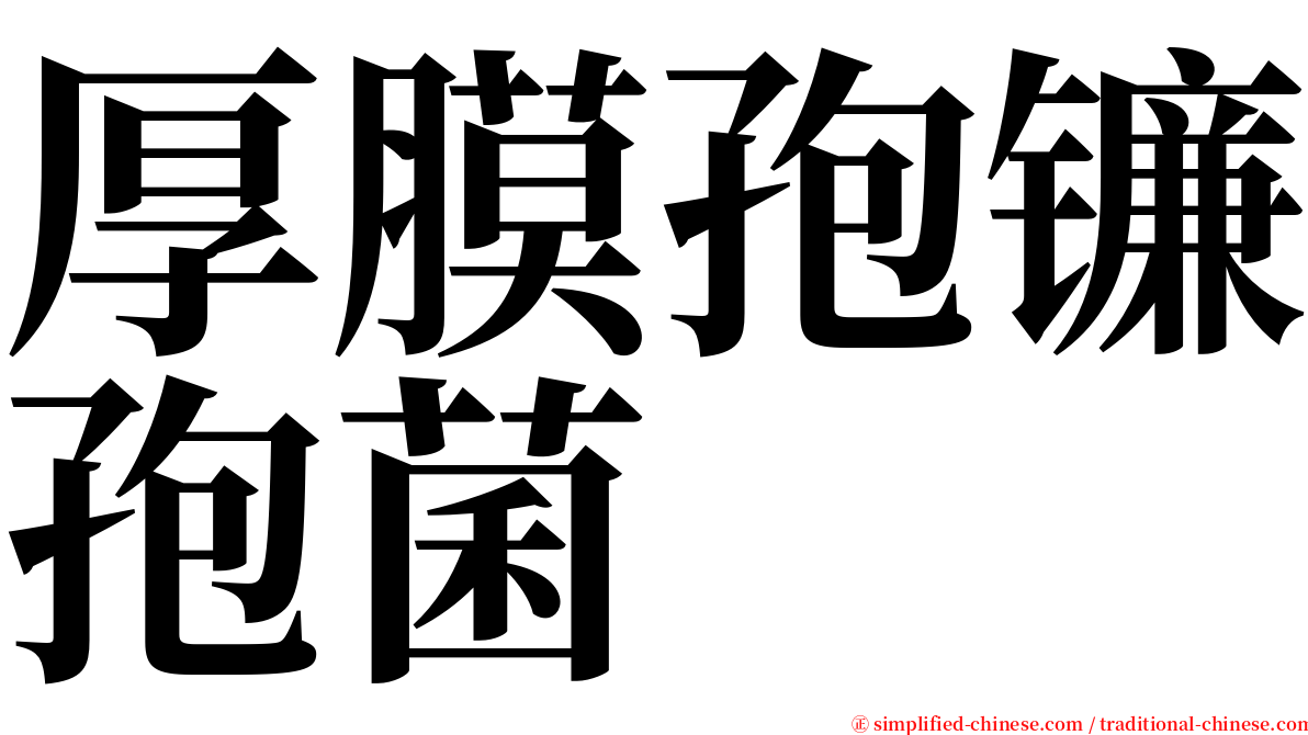 厚膜孢镰孢菌 serif font