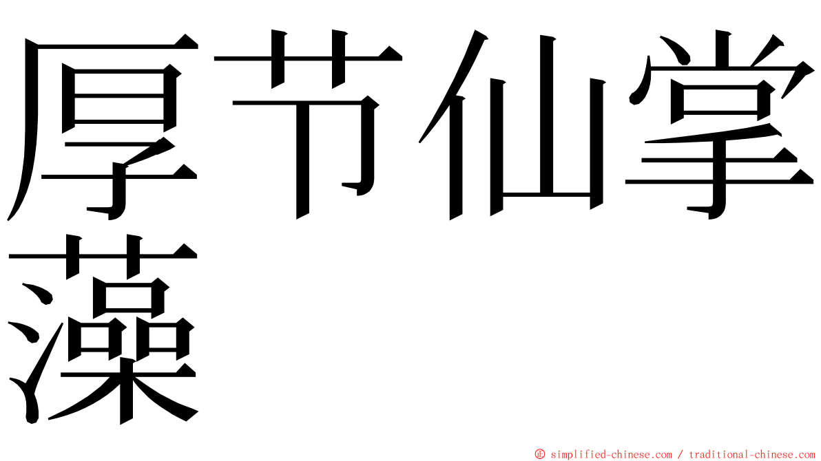 厚节仙掌藻 ming font