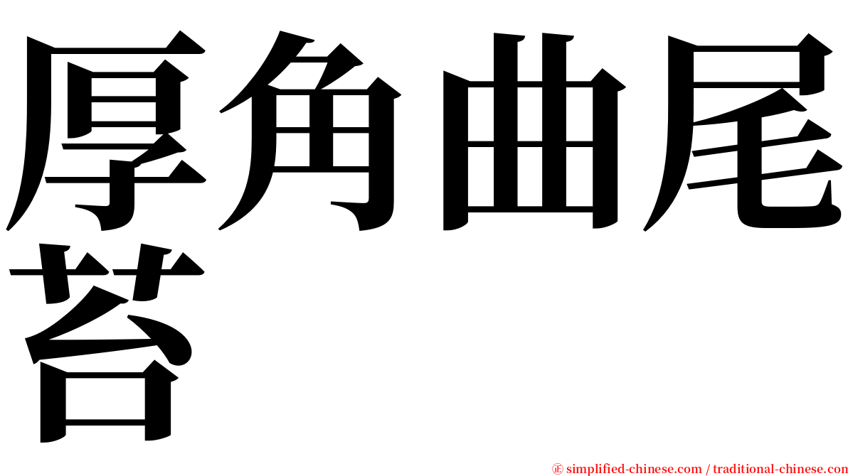 厚角曲尾苔 serif font