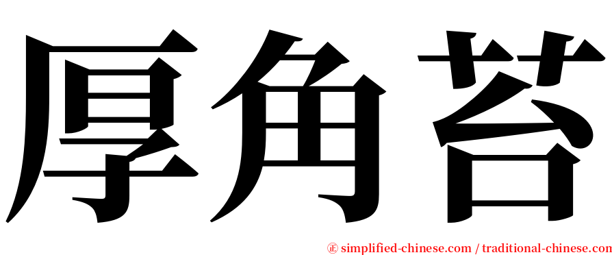 厚角苔 serif font