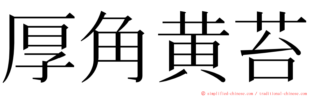 厚角黄苔 ming font