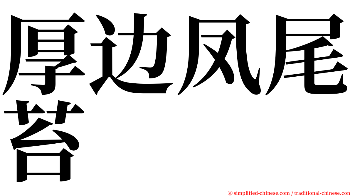 厚边凤尾苔 serif font
