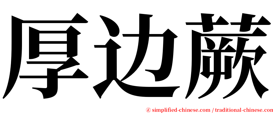 厚边蕨 serif font