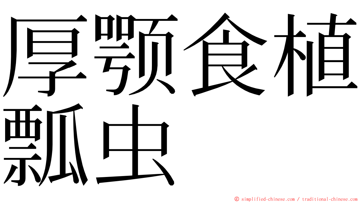 厚颚食植瓢虫 ming font