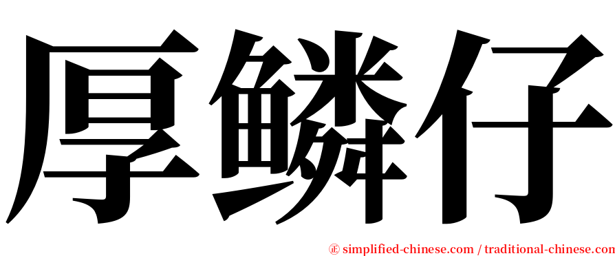 厚鳞仔 serif font