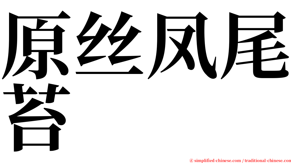 原丝凤尾苔 serif font