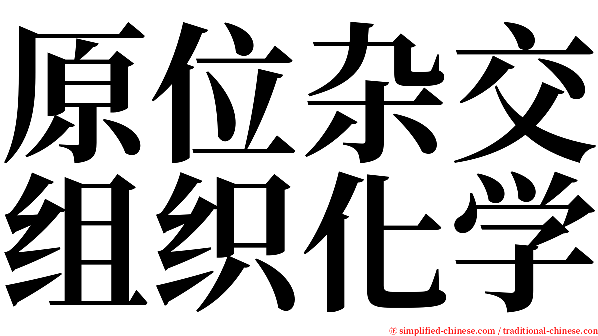 原位杂交组织化学 serif font