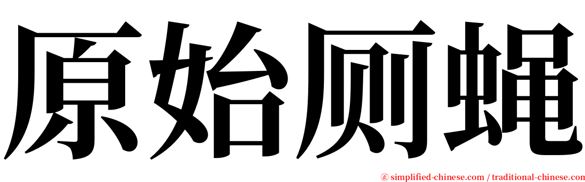 原始厕蝇 serif font