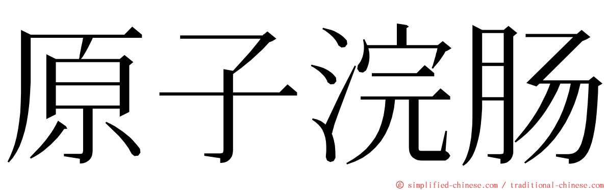 原子浣肠 ming font