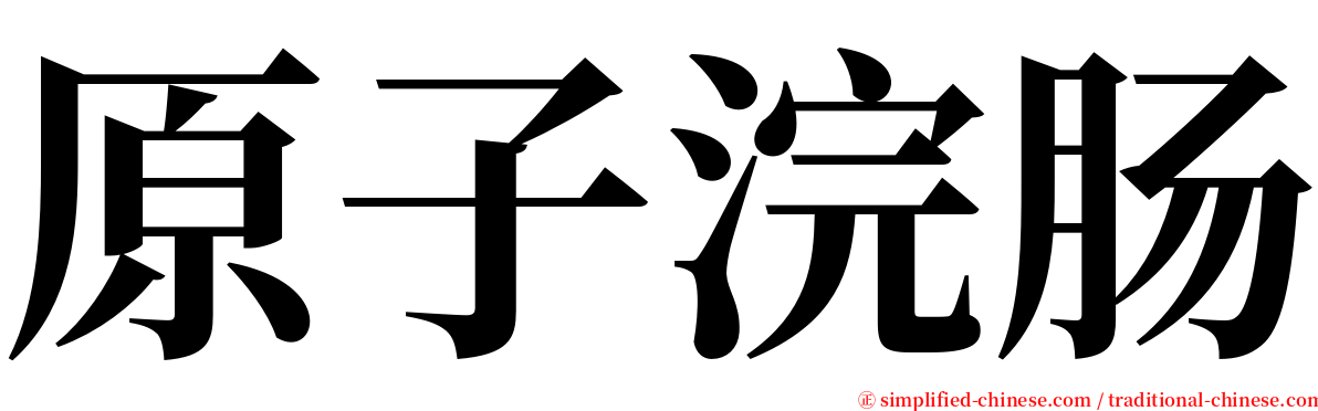 原子浣肠 serif font