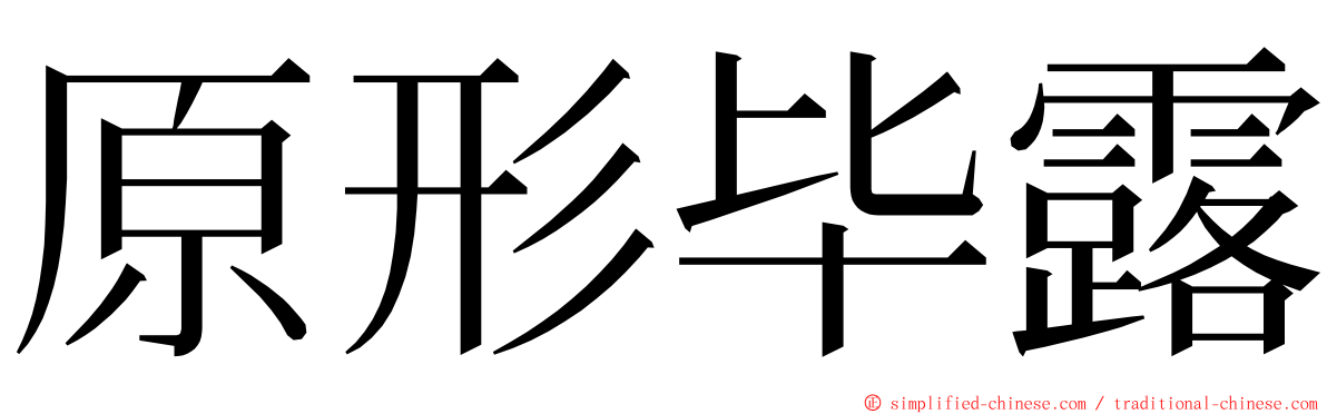 原形毕露 ming font