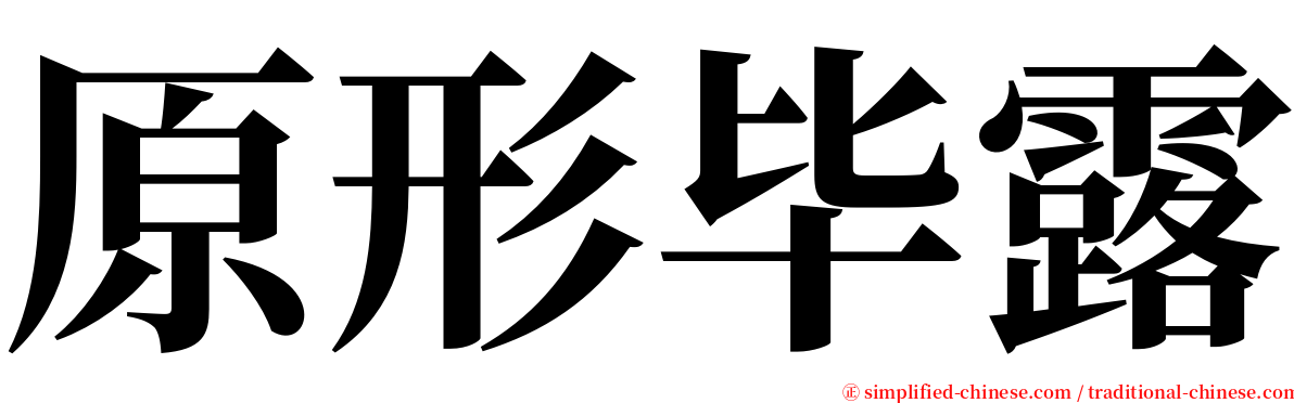 原形毕露 serif font