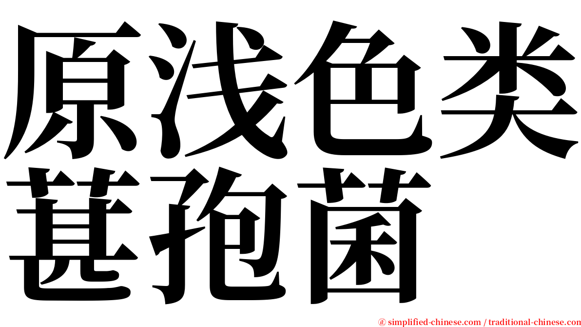 原浅色类葚孢菌 serif font