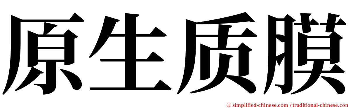 原生质膜 serif font