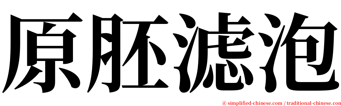 原胚滤泡 serif font