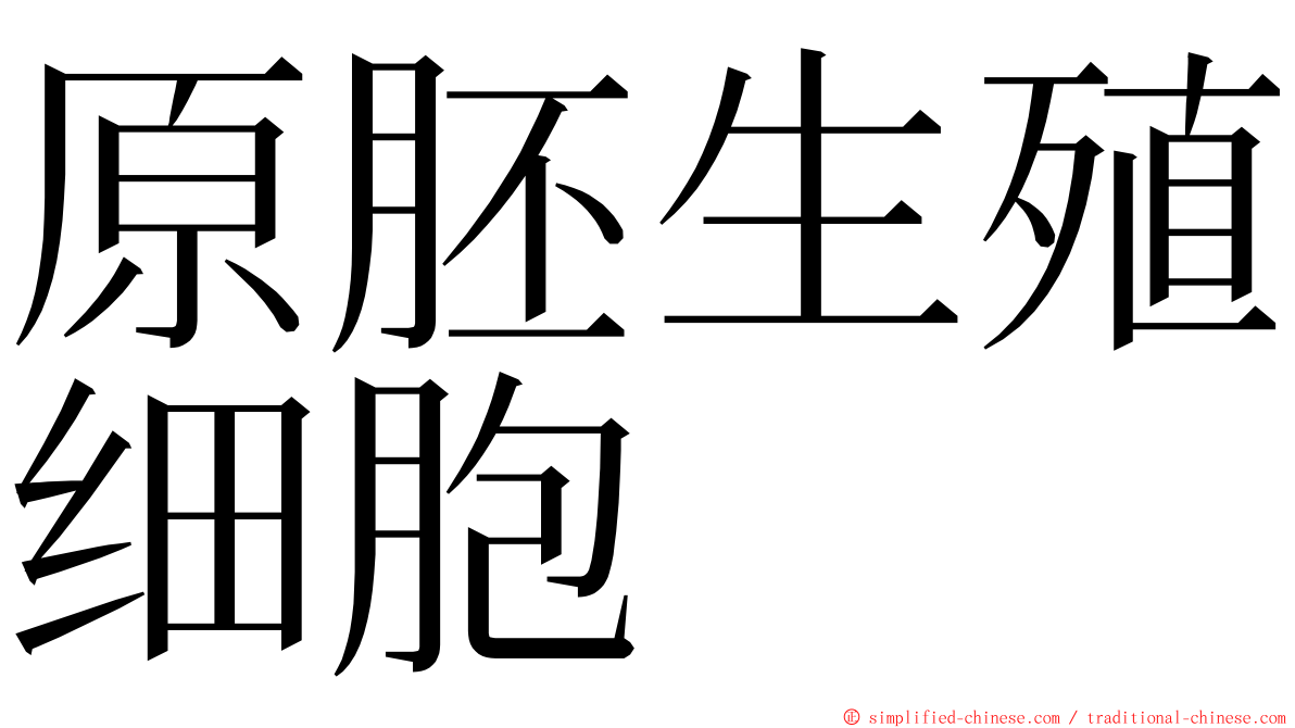 原胚生殖细胞 ming font