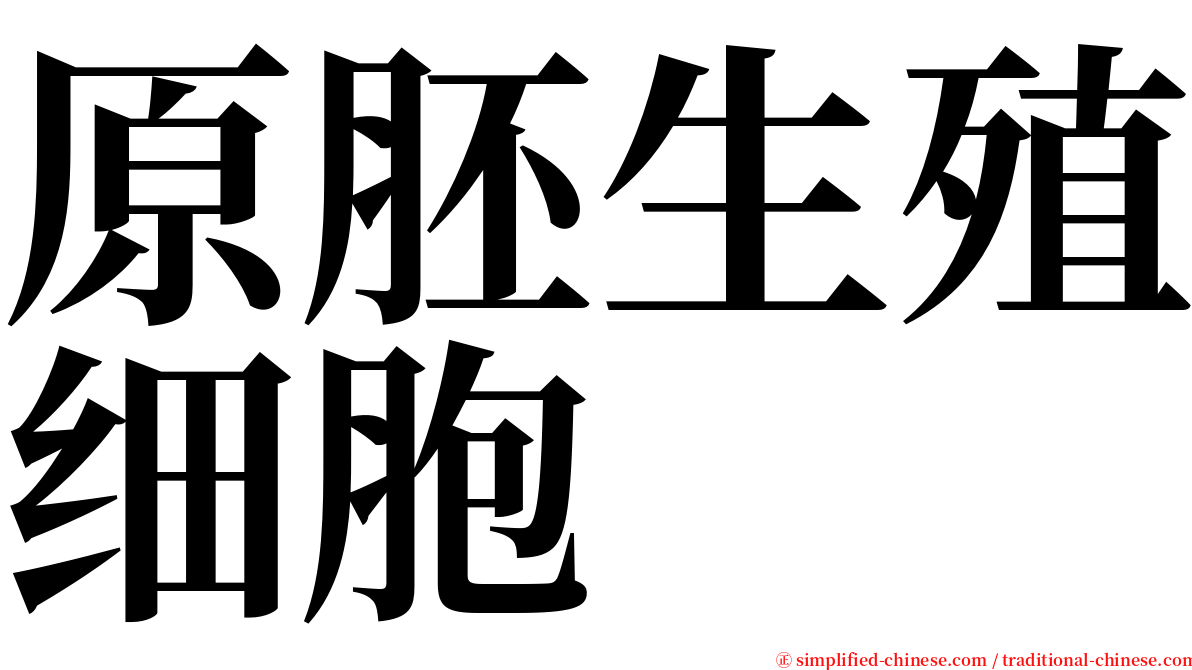 原胚生殖细胞 serif font