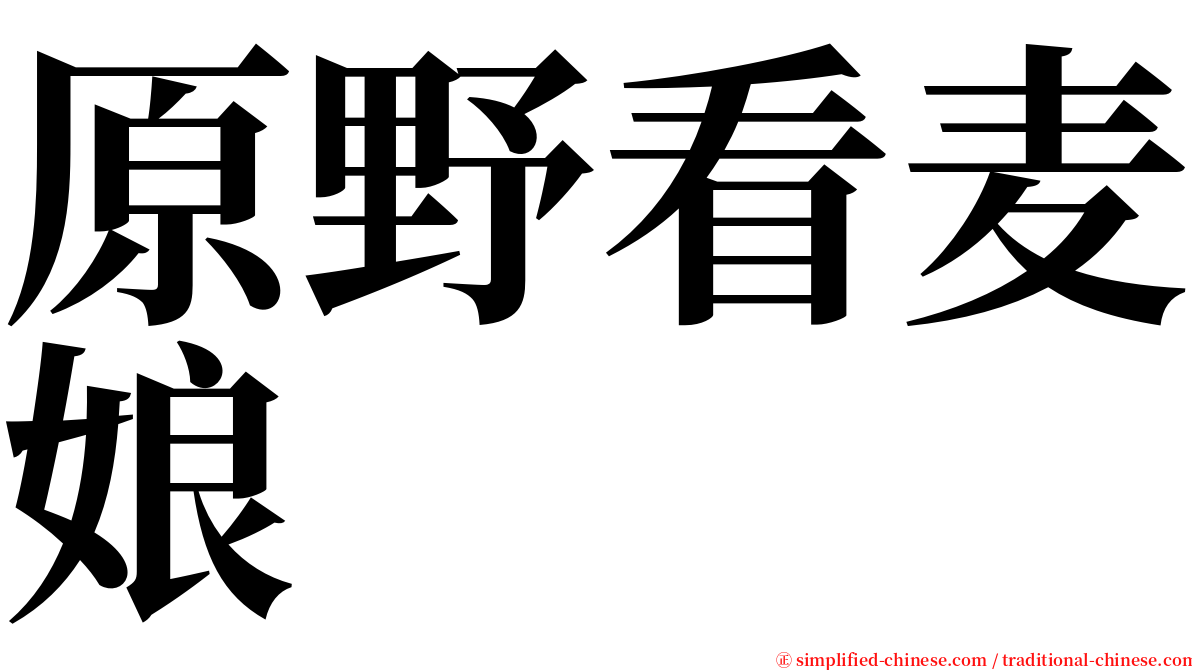 原野看麦娘 serif font