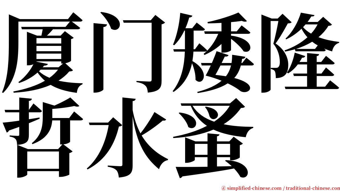 厦门矮隆哲水蚤 serif font