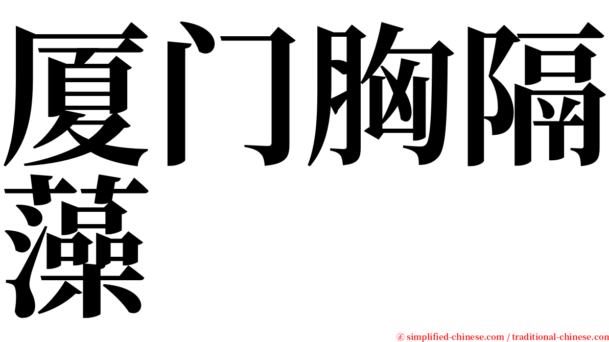 厦门胸隔藻 serif font