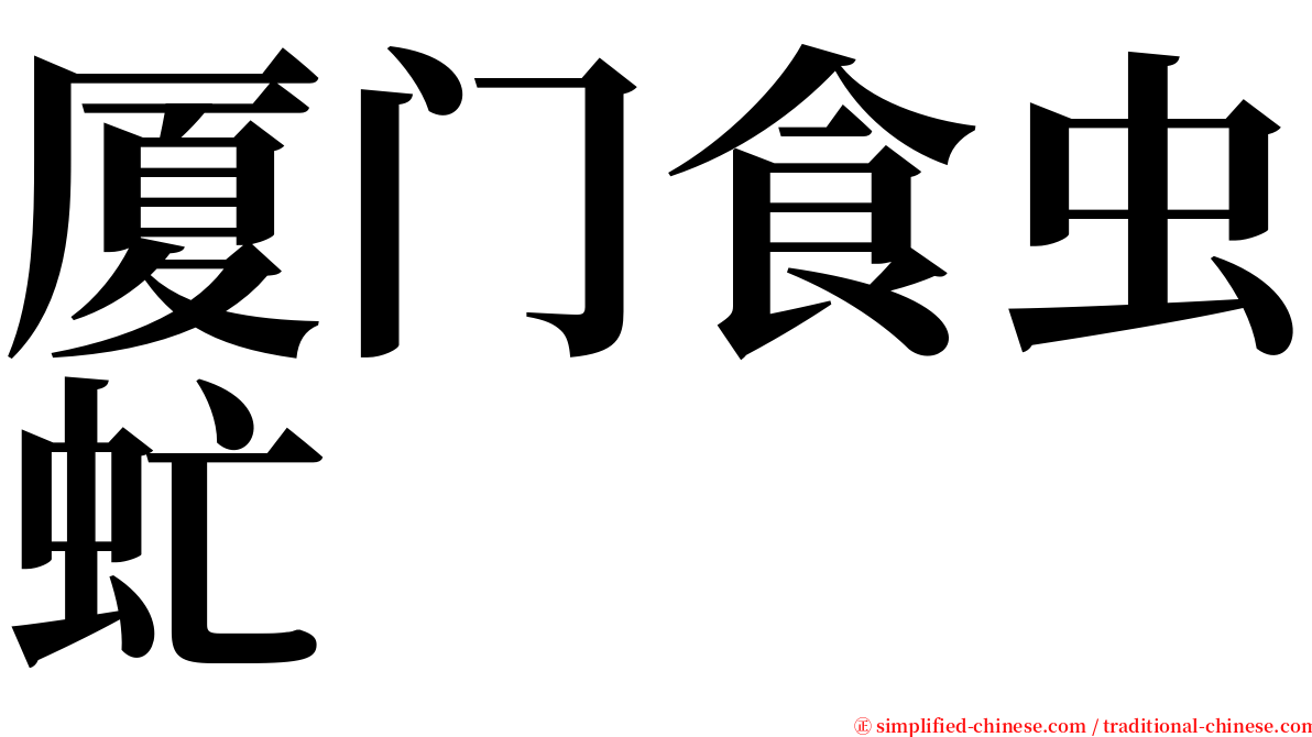 厦门食虫虻 serif font