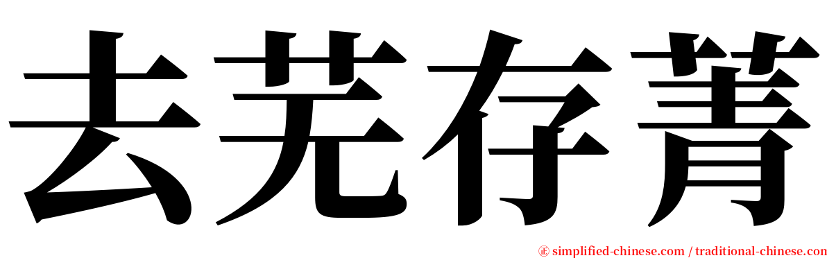 去芜存菁 serif font