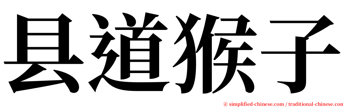 县道猴子 serif font