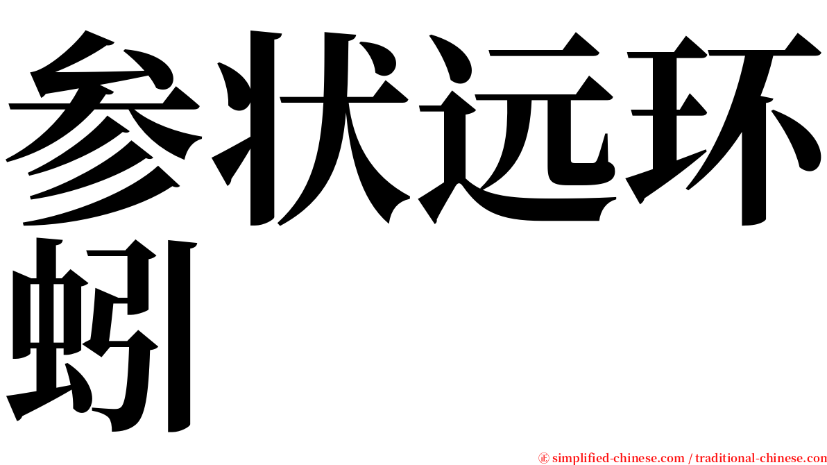 参状远环蚓 serif font