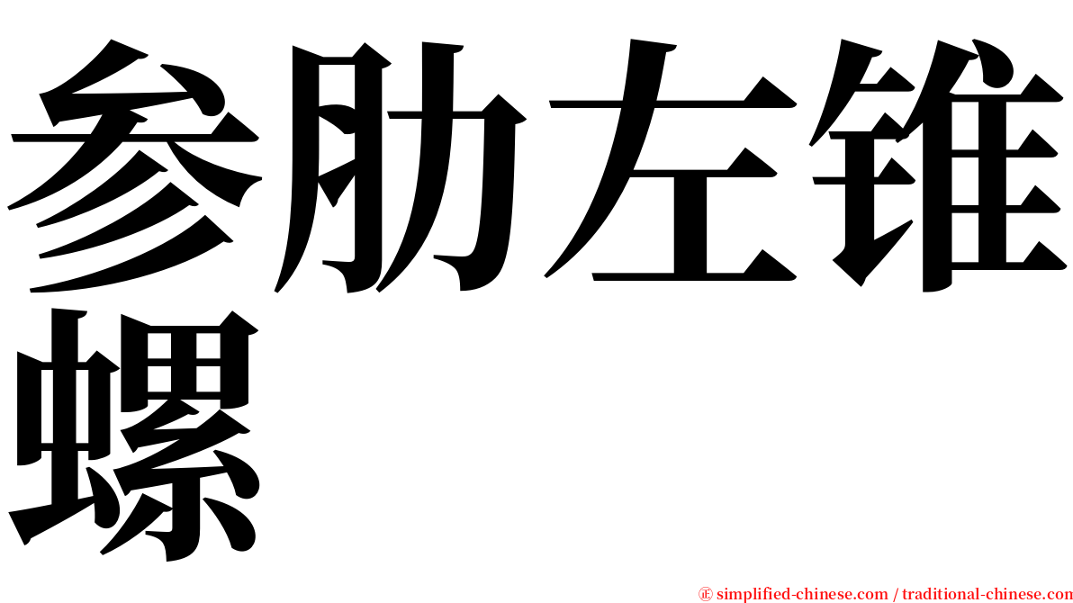 参肋左锥螺 serif font