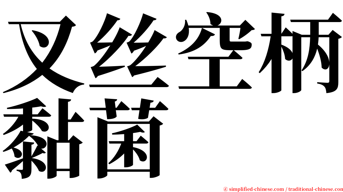 叉丝空柄黏菌 serif font