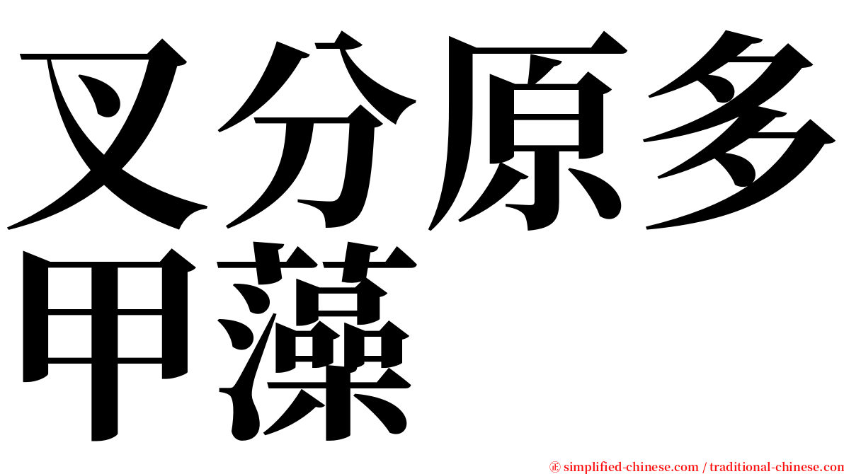 叉分原多甲藻 serif font