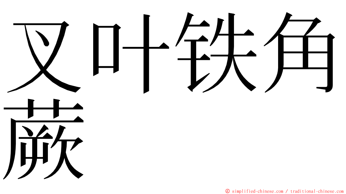 叉叶铁角蕨 ming font