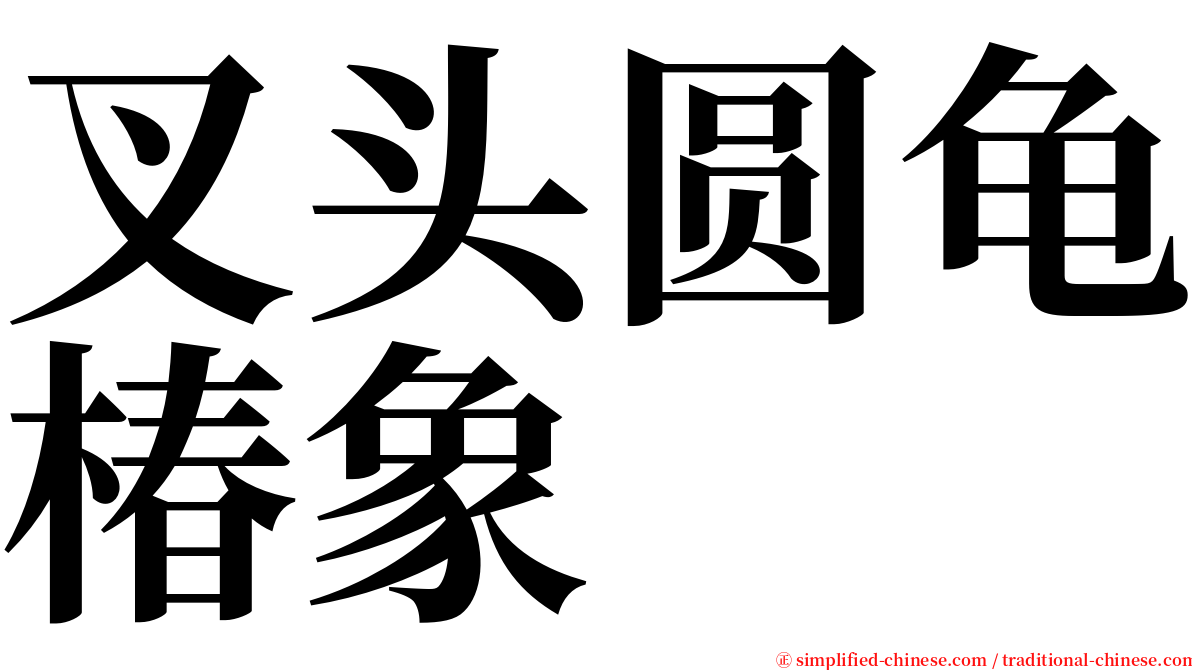 叉头圆龟椿象 serif font