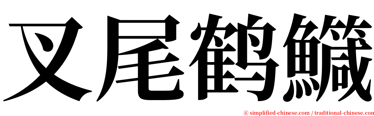 叉尾鹤鱵 serif font